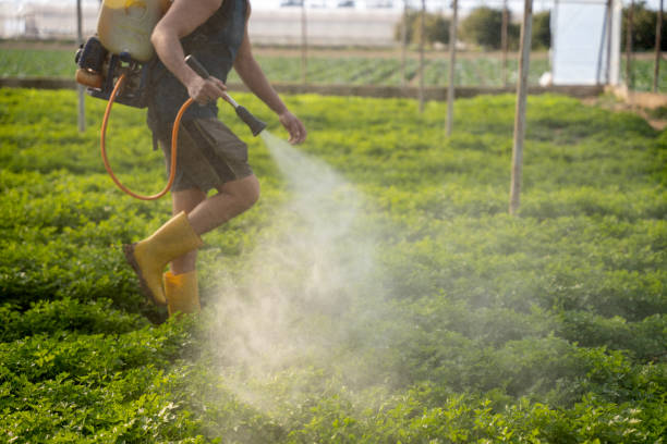 Best Pest Removal Services  in Elizabethtown, NC