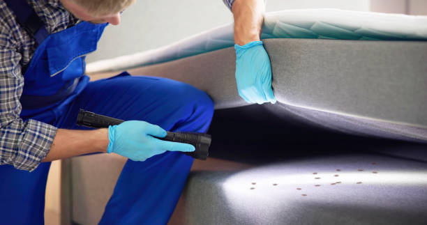 Best Exterminator Services  in Elizabethtown, NC