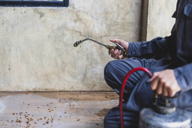 Best Pest Inspection Near Me  in Elizabethtown, NC